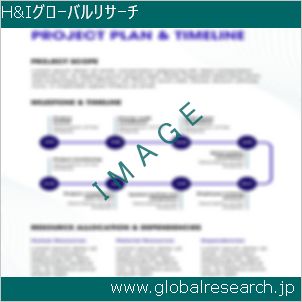 グローバルリサーチ調査レポートのイメージ